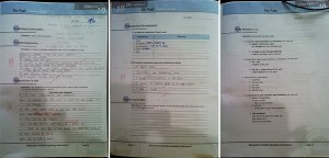 monol学校口语课程集中分析