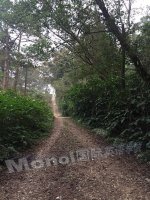 「NANCY游记」MONOL学院学习初体验