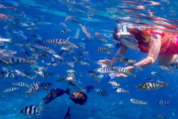 菲律宾游学----潜水篇